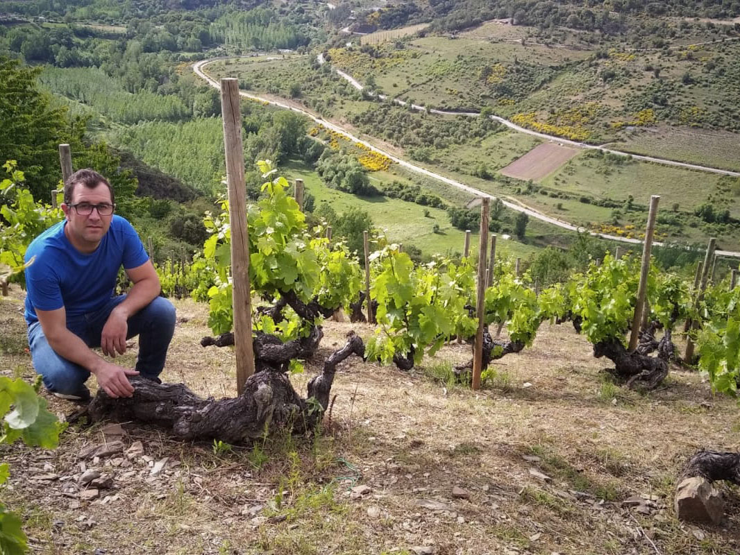 Weine von Bodega de los Abuelos, Puente de Domingo Florez