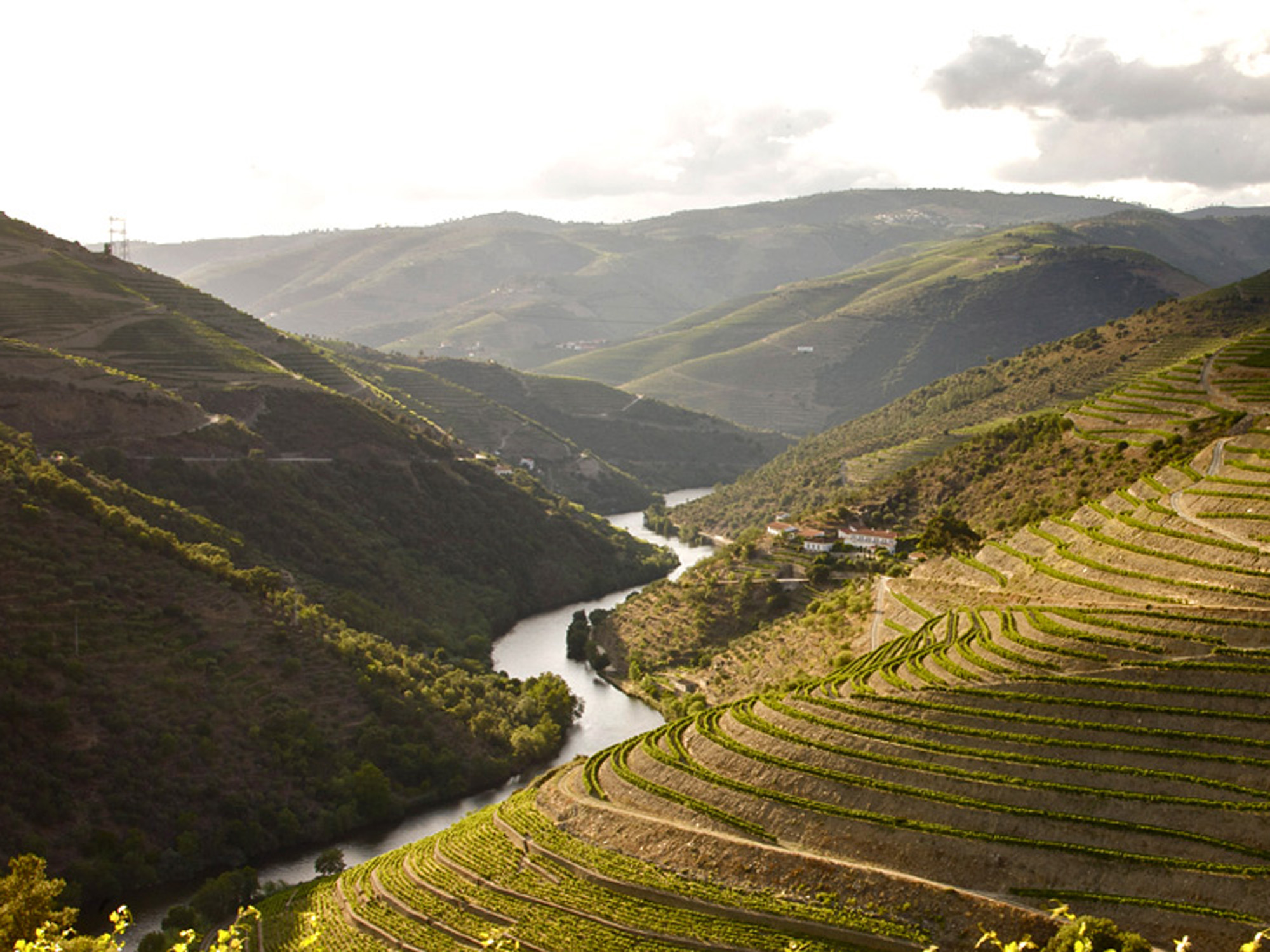 Fonseca, Vila Nova de Gaia