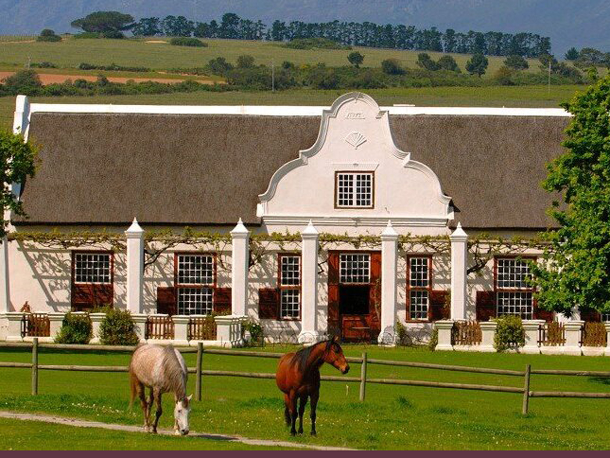 Weine von Meerlust Estate, Stellenbosch