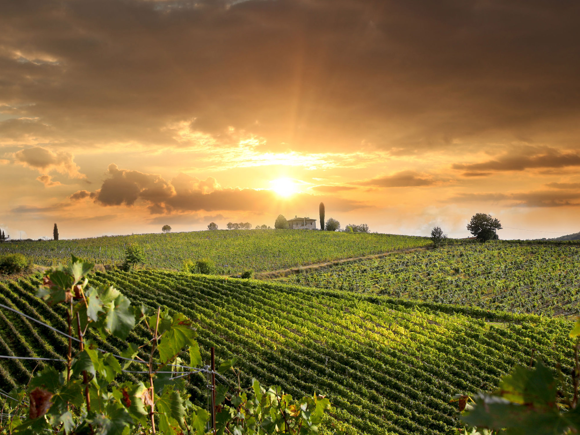 Villa Franciacorta, Monticelli Brusati