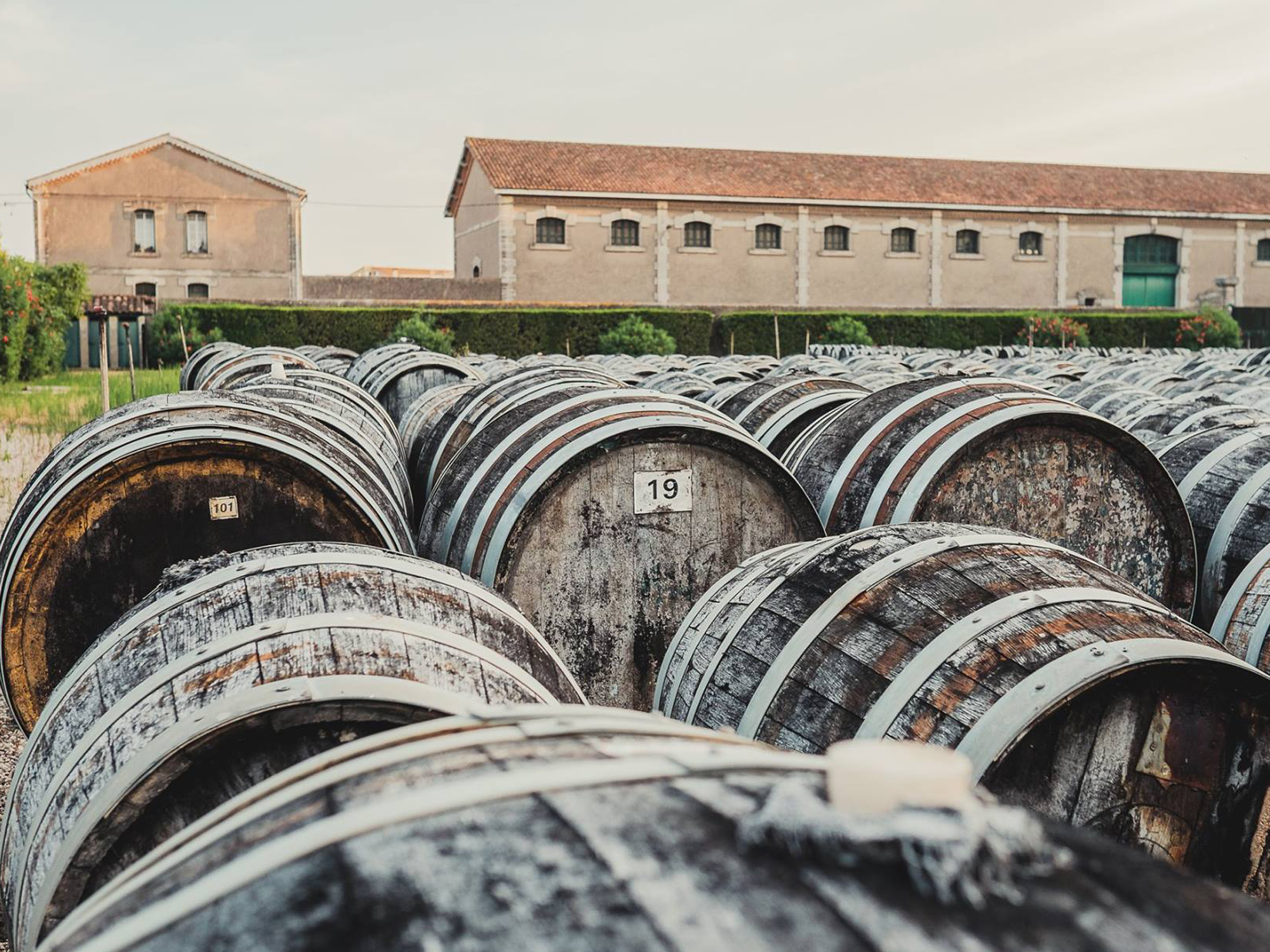 Weine von Maison Noilly Prat, Marseillan