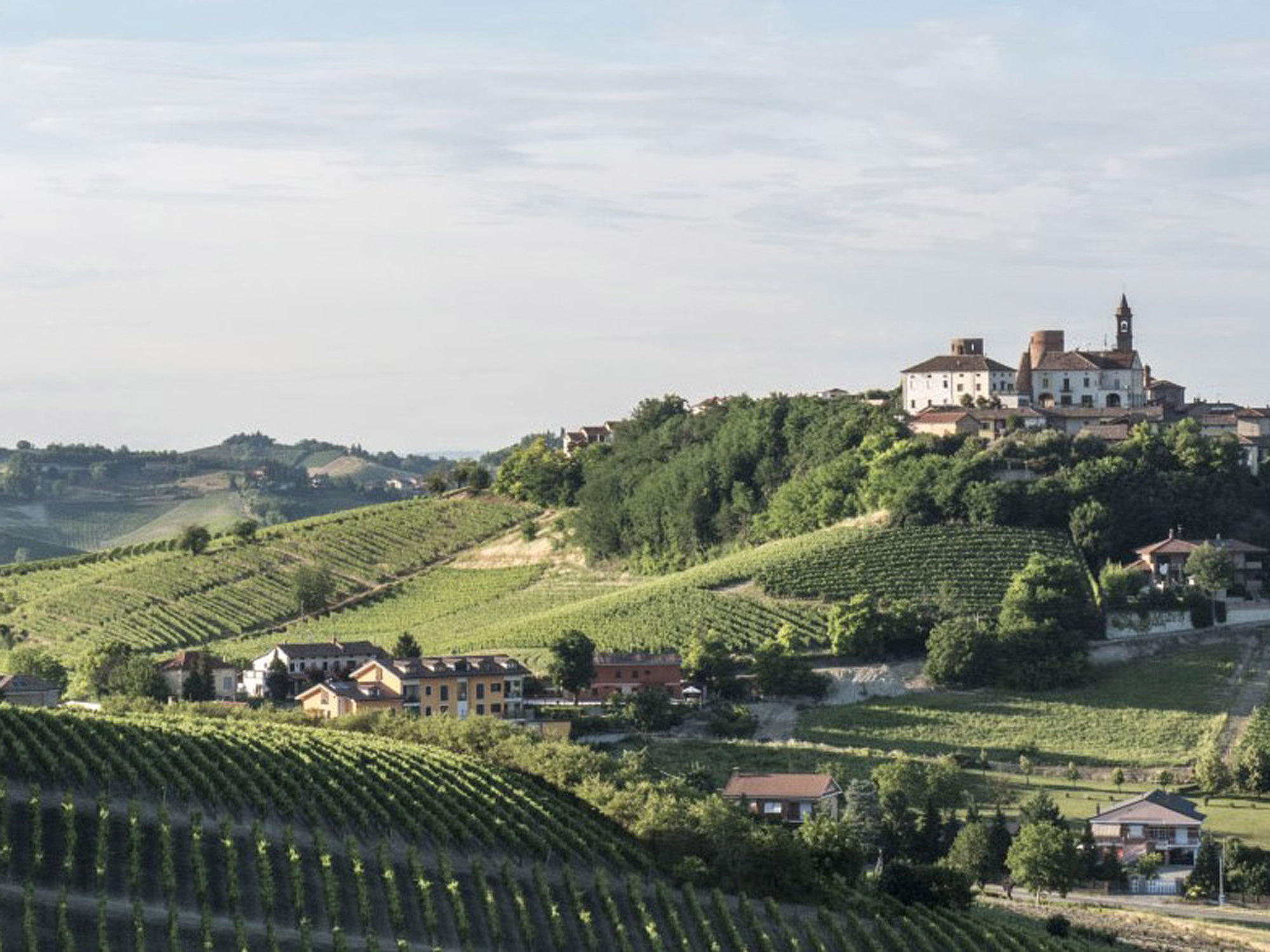 Weine von Distilleria Berta, Mombaruzzo