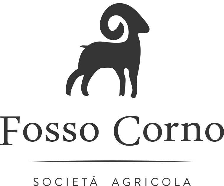 Logo Fosso Corno, Torano Nuovo