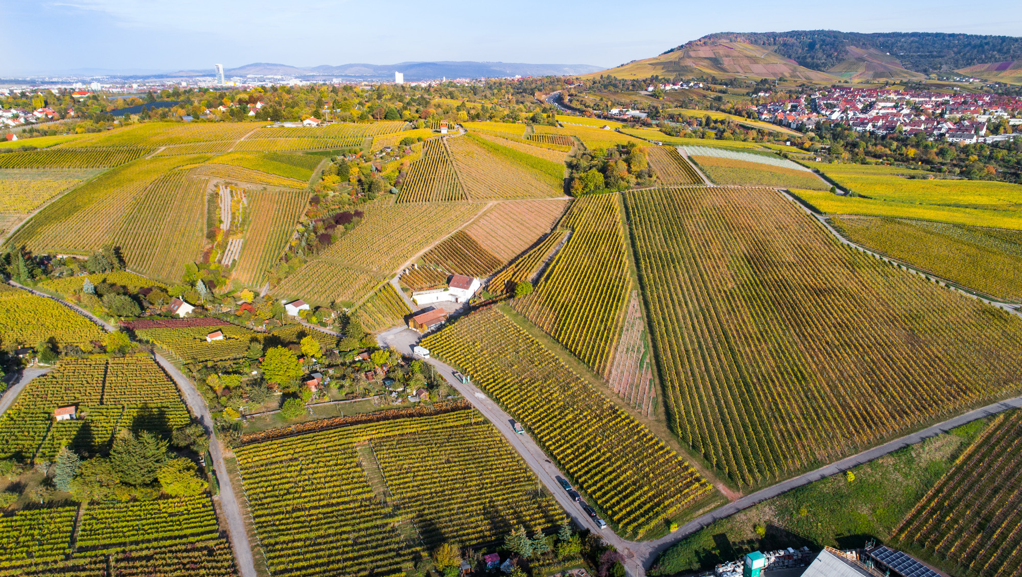 Weine aus Württemberg