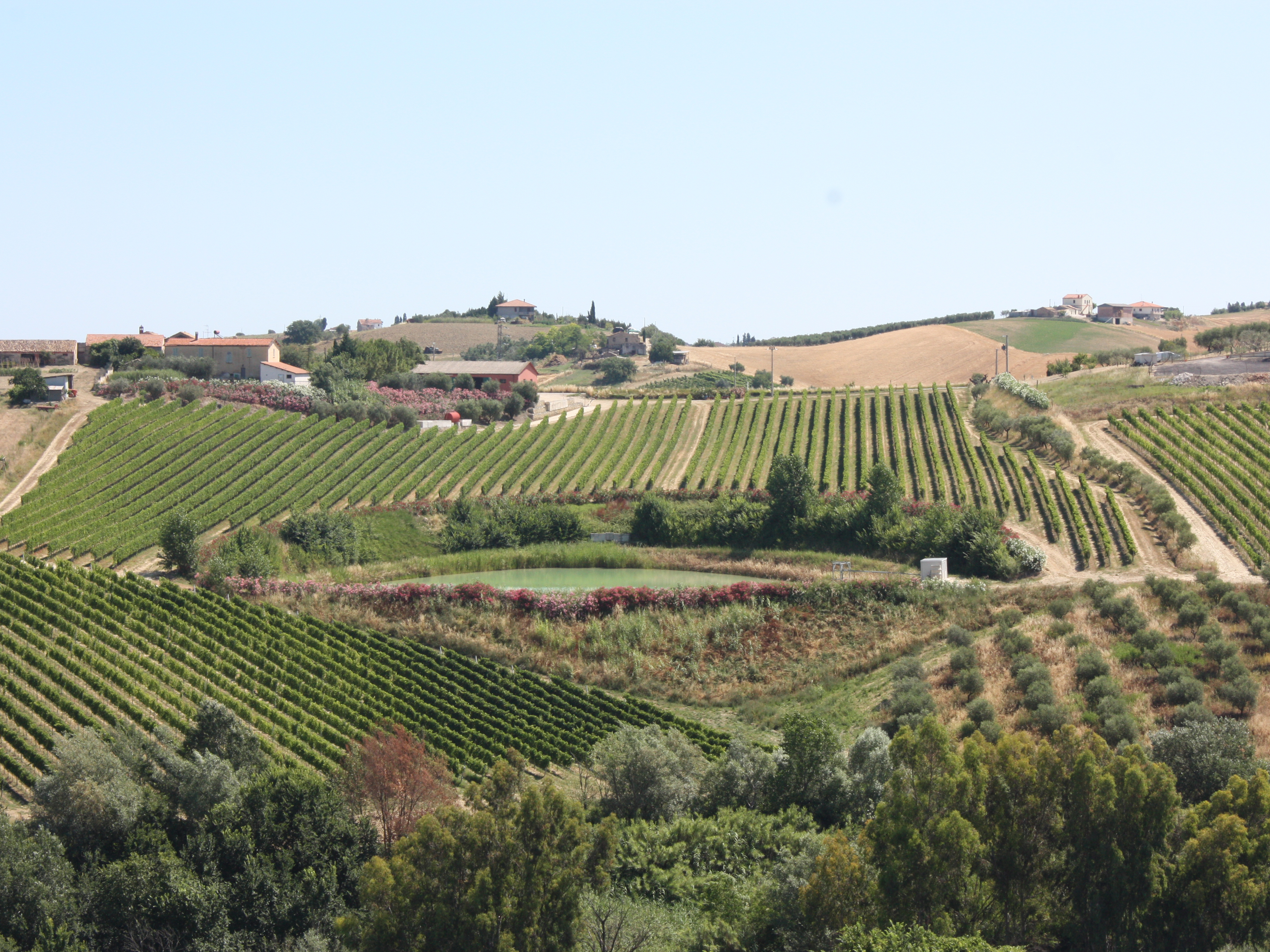 Fosso Corno, Torano Nuovo