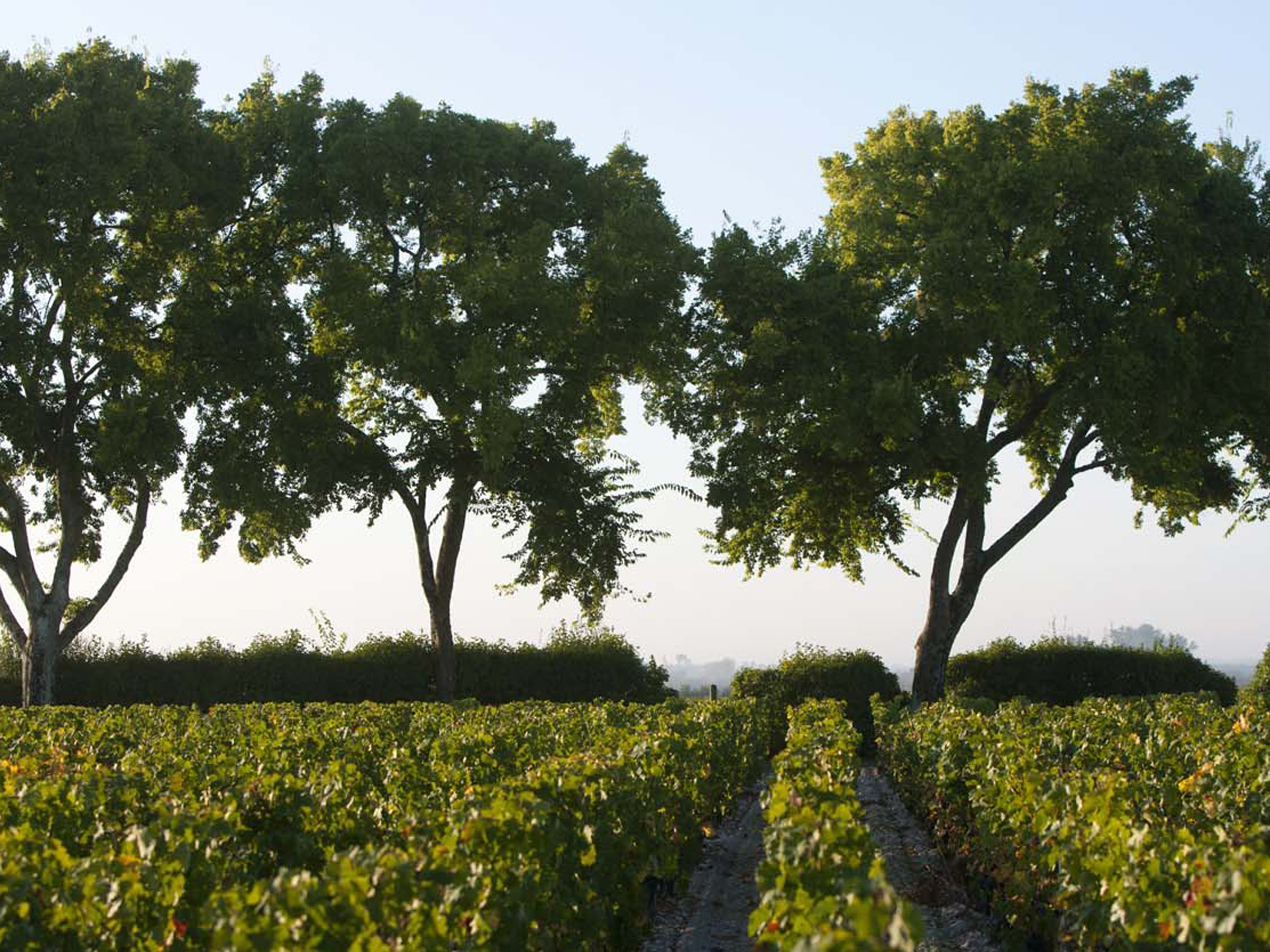 Château Chasse Spleen, Moulis-en-Médoc