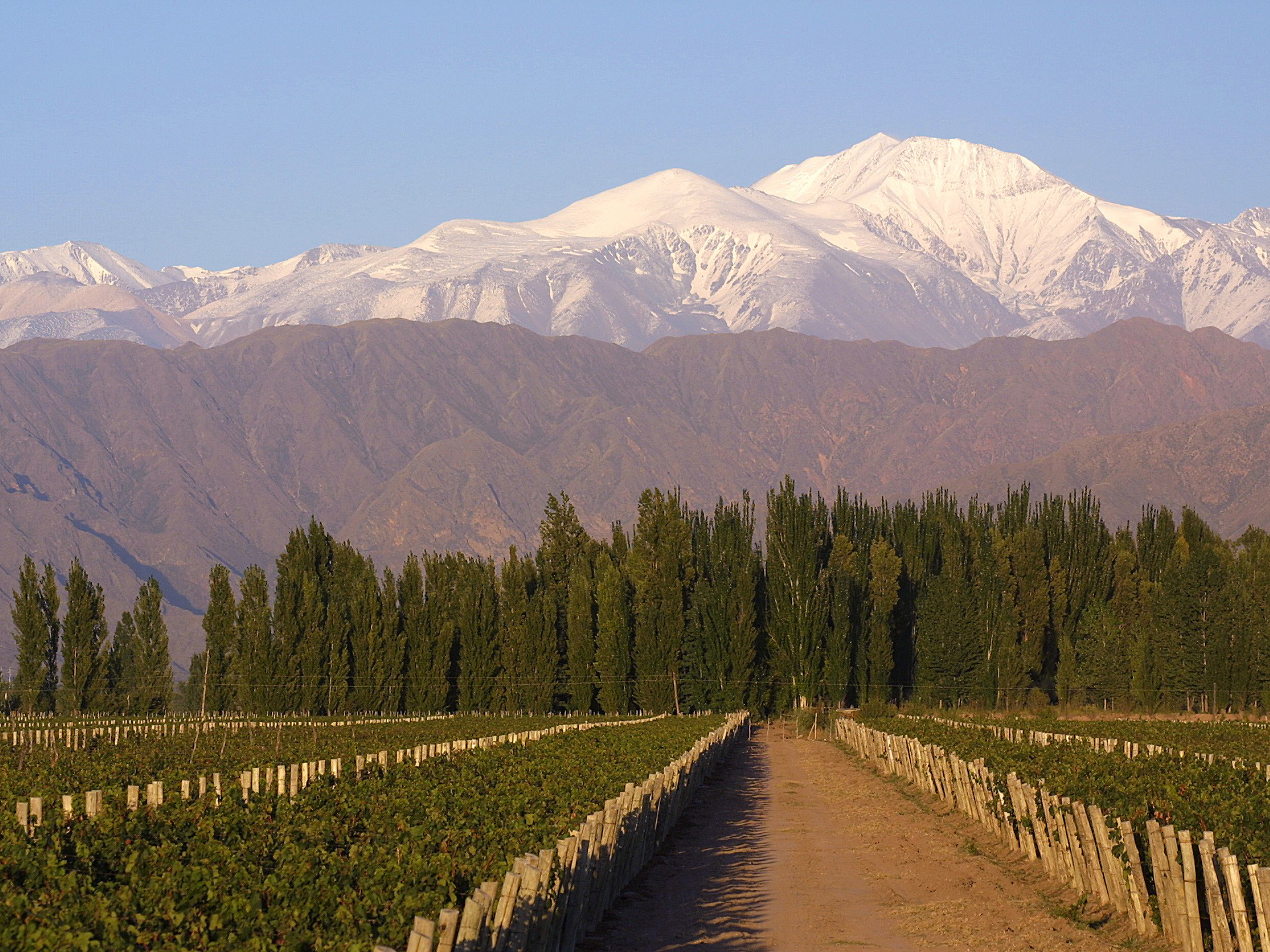 Bodegas Fabre, Vistalba