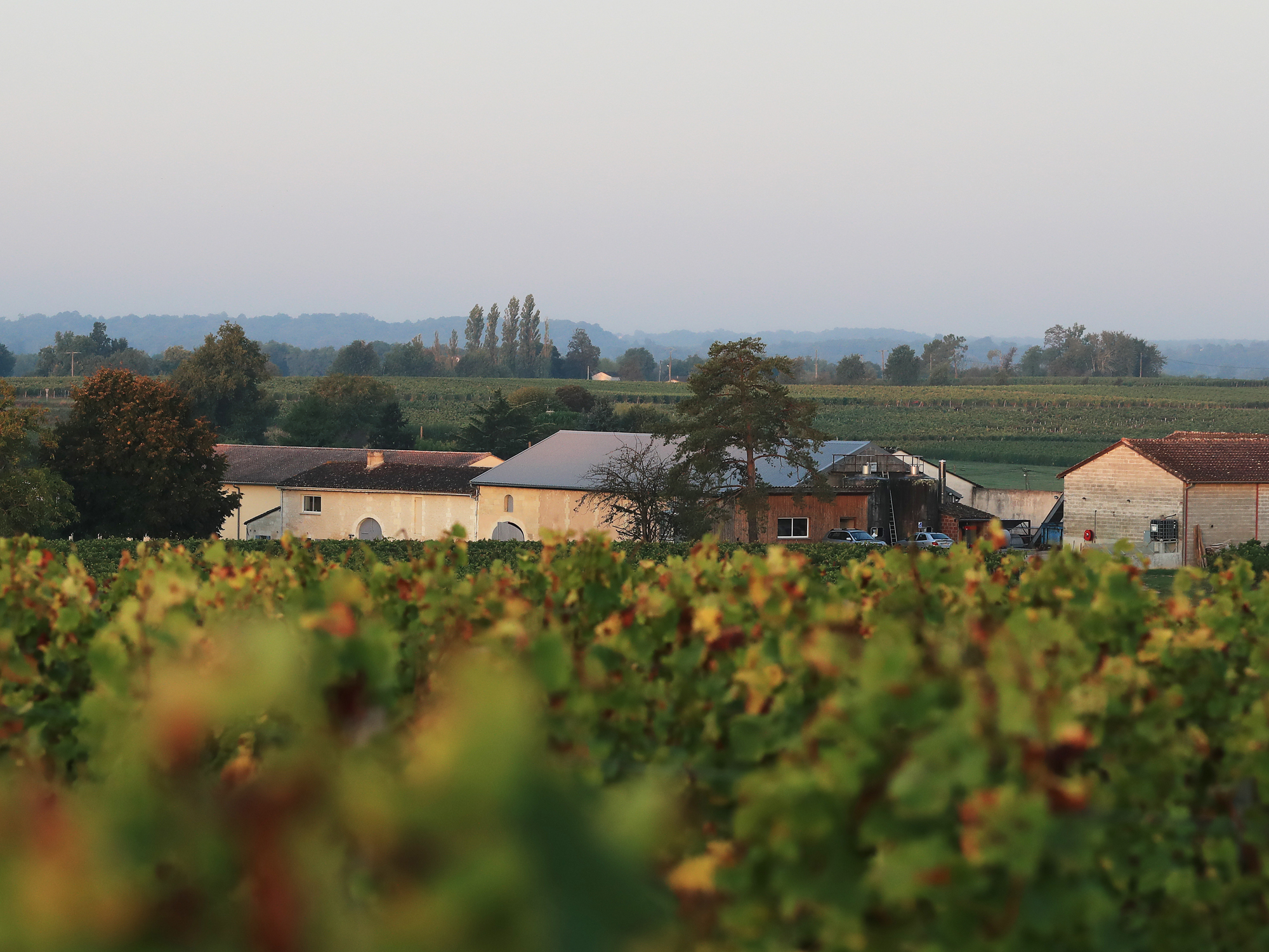 Château La Freynelle, Daignac