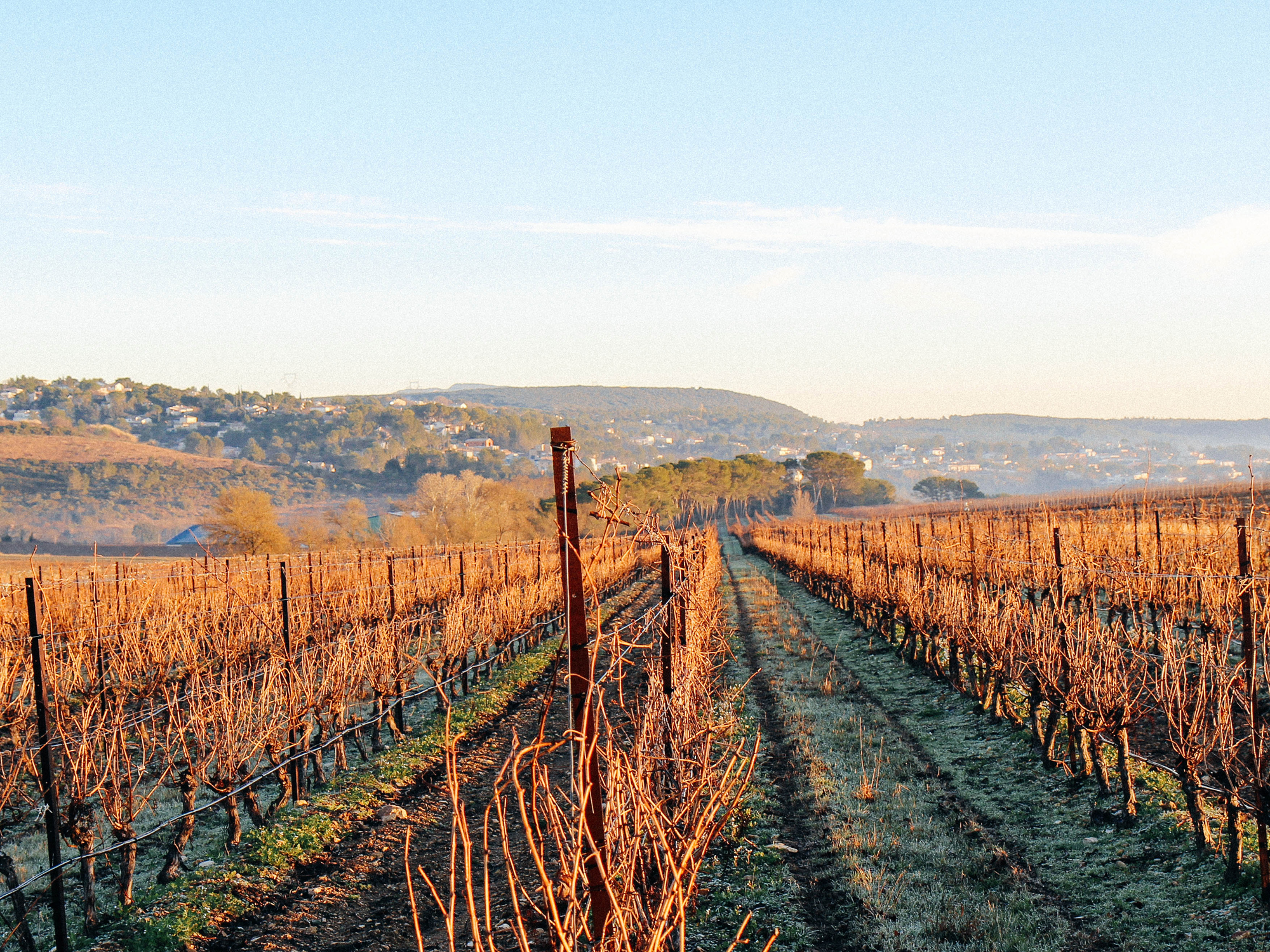 Domaine de la Jasse, Combaillaux