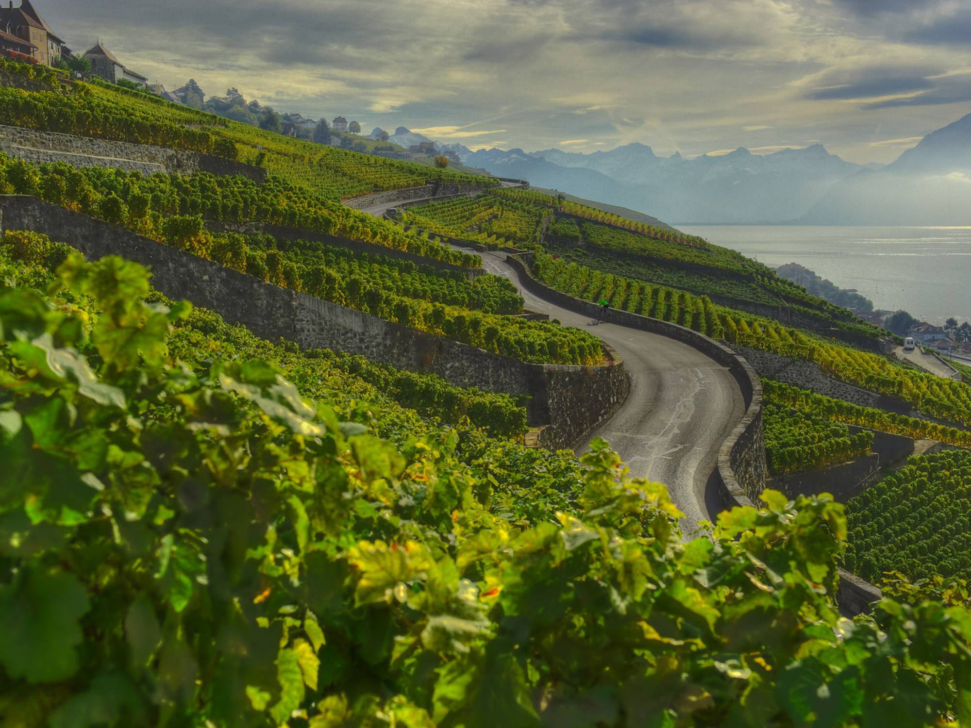 Weine von Domaine du Montet, Bex