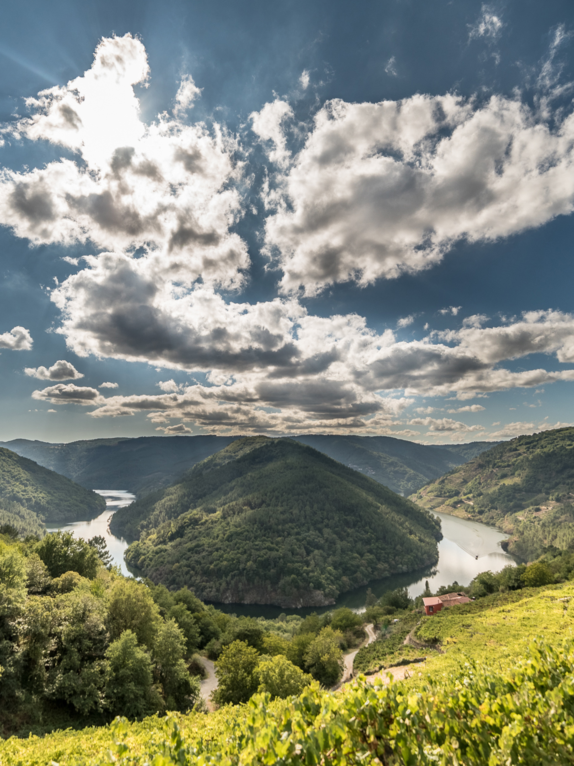 Weine aus Ribeira Sacra