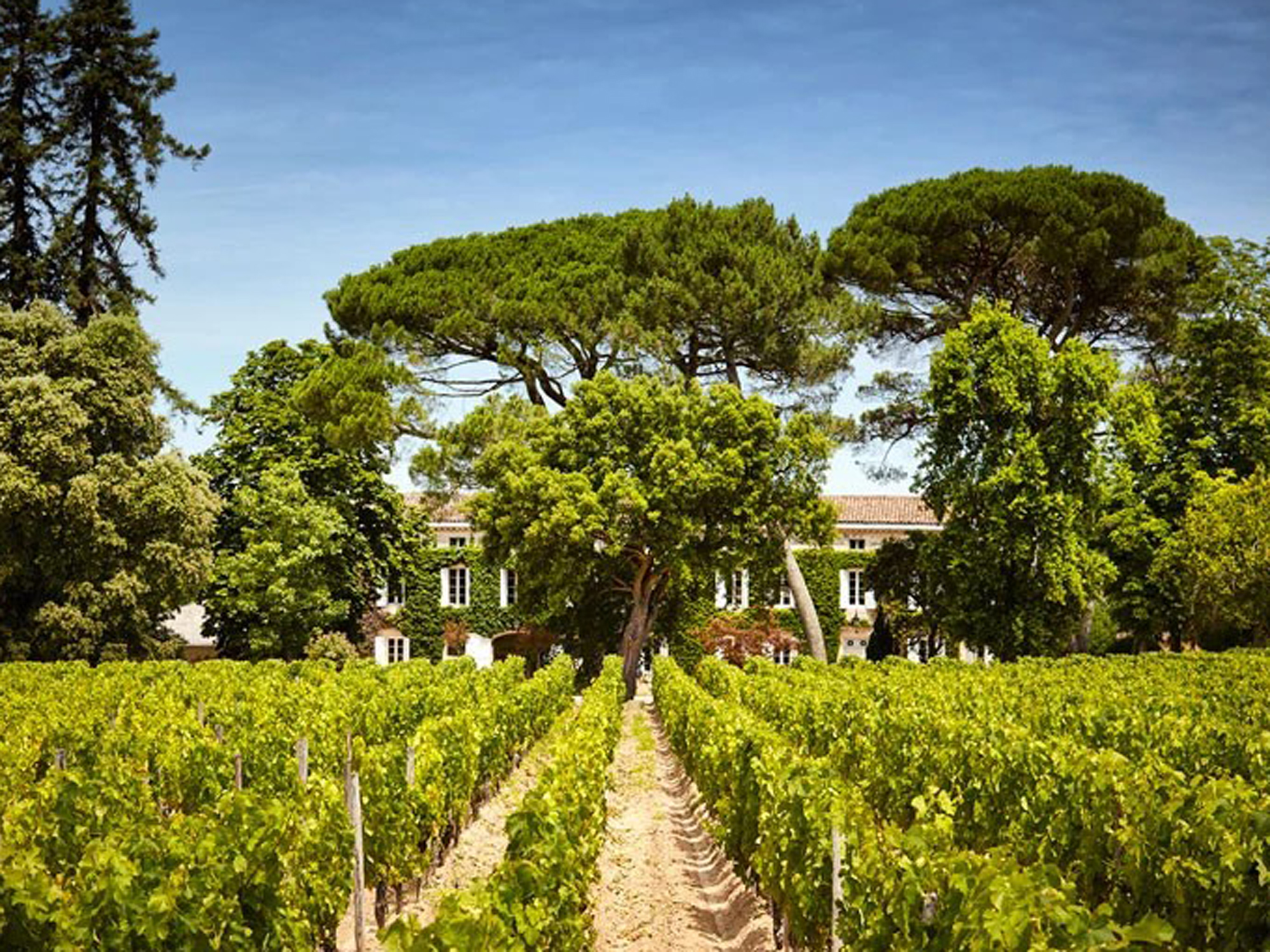 Château Rouget, Pomerol