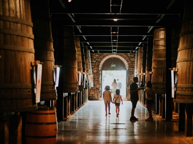 Weine von Bodegas Franco Españolas, Logroño