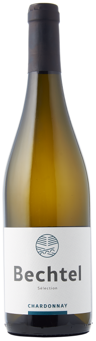 Chardonnay Sélection 2022 Bechtel, Eglisau