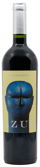 Peñalolen Azul 2019 Vina Quebrada de Macul, Santiago