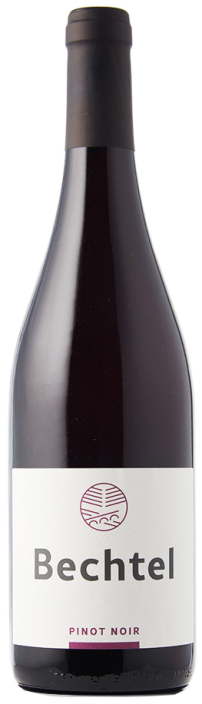 Pinot Noir 2022 Bechtel, Eglisau