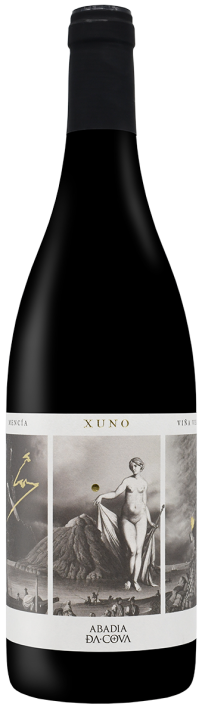 Xuno tinto Barrica 2020 Abadía da Cova, O Saviñao