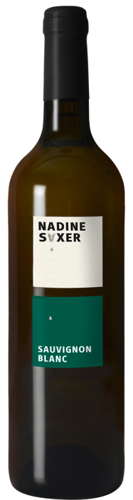 Sauvignon Blanc 2023 Weingut Nadine Saxer, Neftenbach