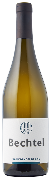 Sauvignon Blanc 2023 Bechtel, Eglisau