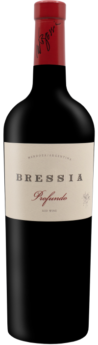 Profundo Red Blend 2019 Bressia Bodega, Mendoza