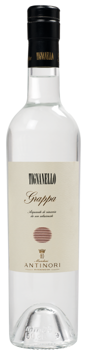 Grappa di Tignanello Antinori, San Casciano